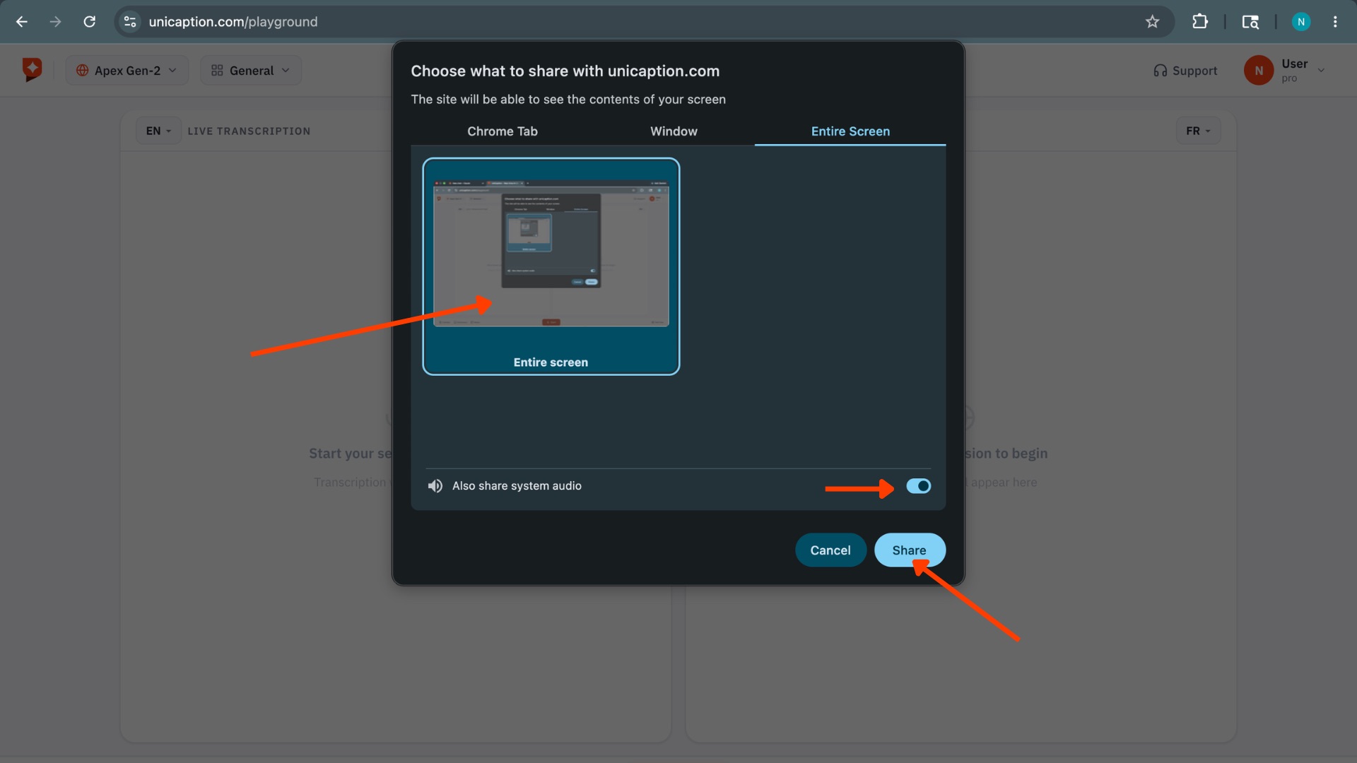 Screen share dialog with Entire Screen and system audio toggle